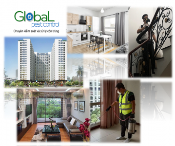 dịch vụ diệt côn trùng căn hộ, chung cư, nhà riêng, hộ gia đình