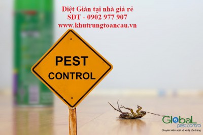 diệt gián tại nhà giá rẻ (2)