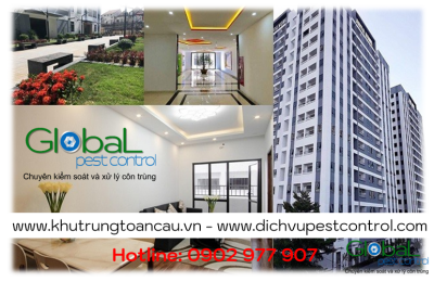 Dịch vụ xử lý và diệt Chuột cho căn hộ, chung cư