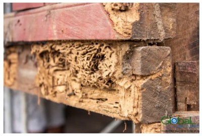 lam-the-nao-de-kiem-soat-va-xu-ly-moi-hieu-qua