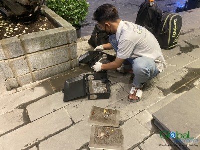 Cách tìm một Công ty dịch vụ diệt Chuột hiệu quả tại Tp HCM