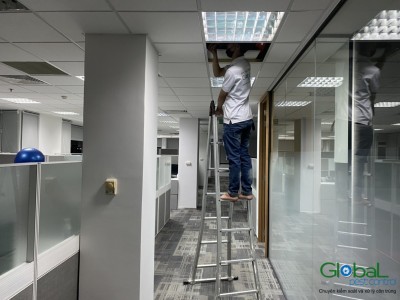 Tác Hại Của Chuột Trong Văn Phòng Và Cách Phòng Ngừa