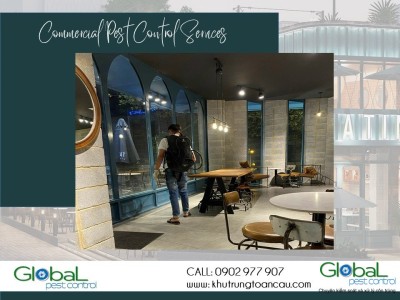 Quy trình làm việc của Khử trùng Toàn Cầu - Dịch vụ diệt côn trùng