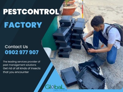 Thông tin về dịch vụ diệt chuột cho nhà máy tại Tp HCM