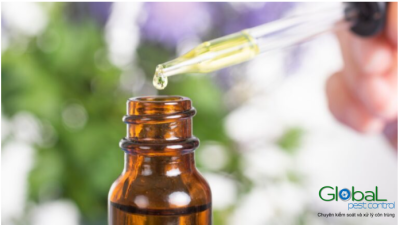 tinh dầu đuổi rồi