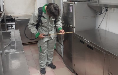 Dịch Vụ Diệt Kiến Ba Khoang Cho Căn Hộ và Những Điều Cần Biế