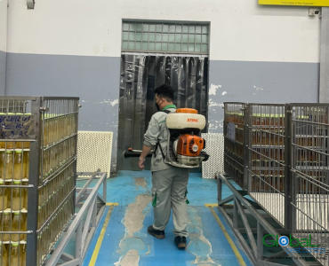 Diệt Chuột Cho Nhà Máy: Phương Pháp và Chiến Lược Đạt Hiệu Quả Cao