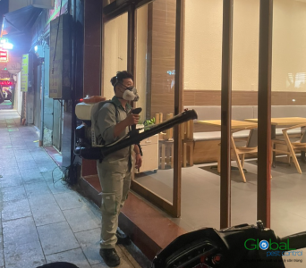 Diệt côn trùng cho nhà máy. Những thông tin cần biết