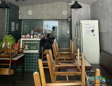 Dịch vụ diệt côn trùng   Khử Trùng Toàn Cầu (29)