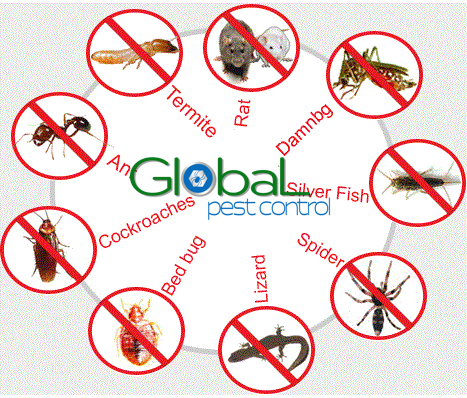 pest control là gì