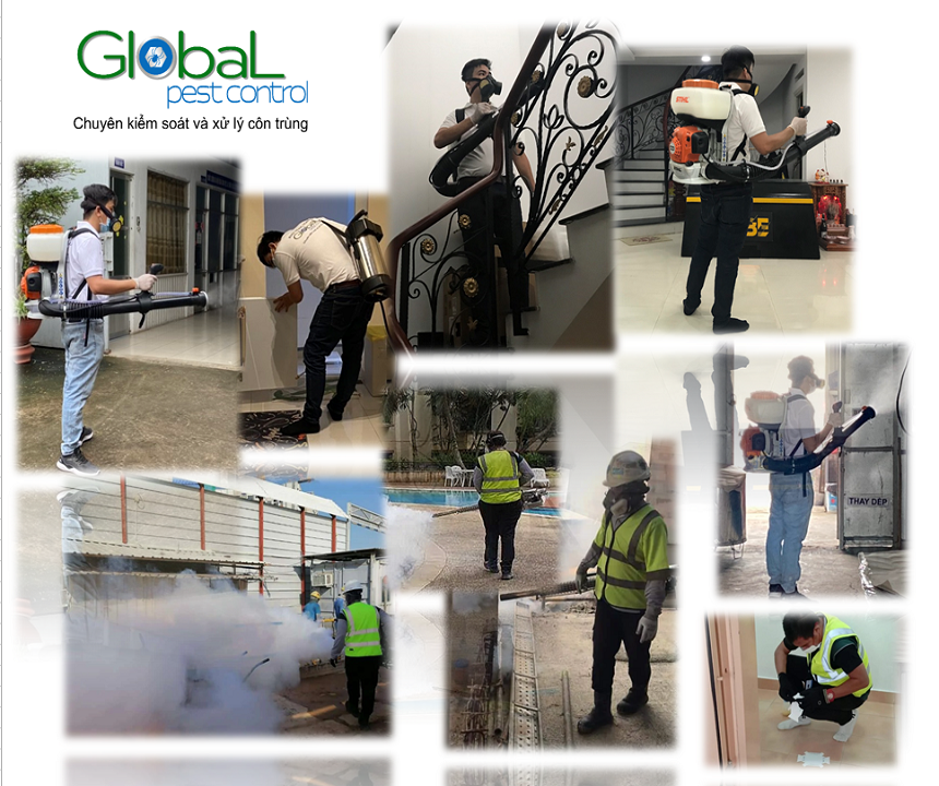 dịch vụ diệt côn trùng 01