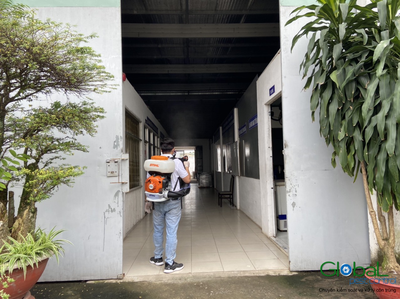 Dịch vụ diệt côn trùng Công ty Khử Trùng Toàn Cầu (2)