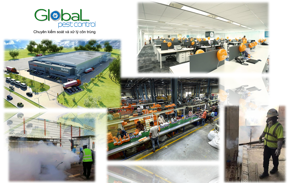 Diệt côn trùng nhà máy, xí nghiệp, nhà xưởng, kho hàng