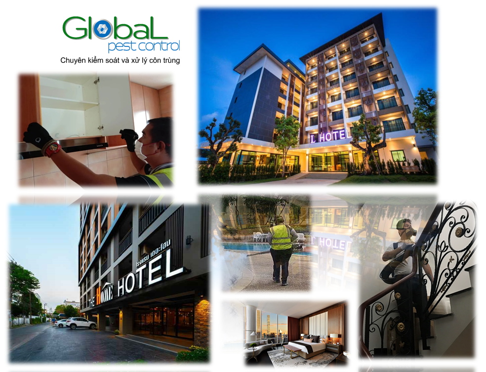 Diệt côn trùng tại Khách sạn, dịch vụ diệt côn trùng tổng hợp