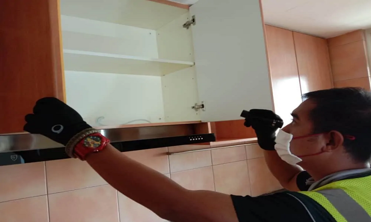 Dịch vụ diệt côn trùng ruồi, muỗi, kiến, gián, mối, chuột...