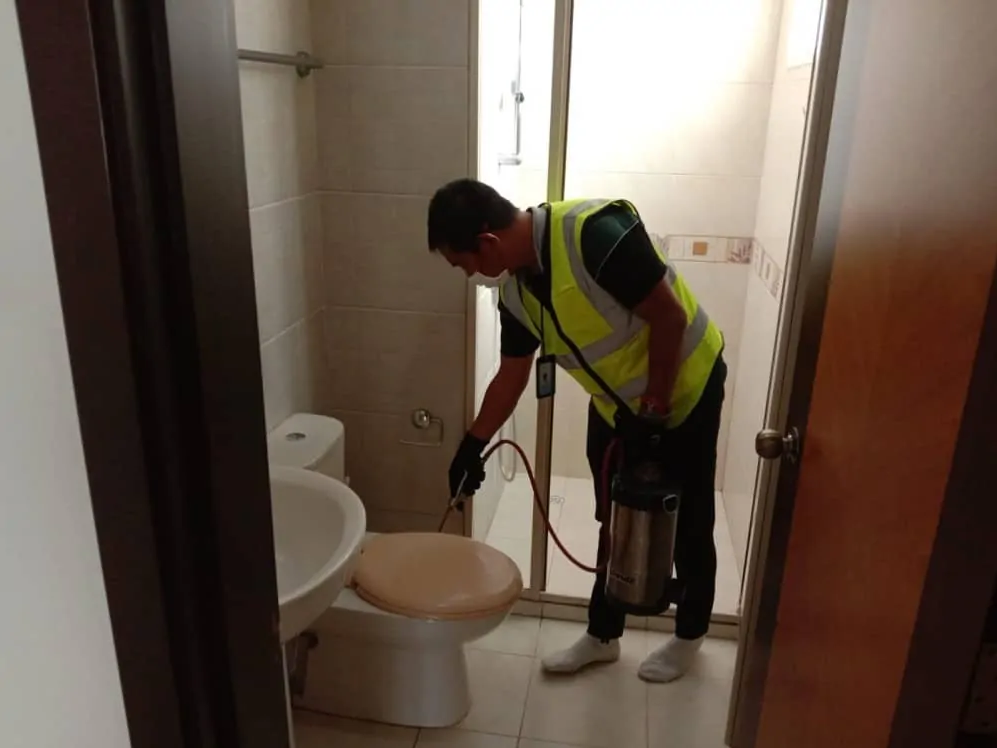 Dịch vụ pest control Khử trùng Toàn Cầu (4)