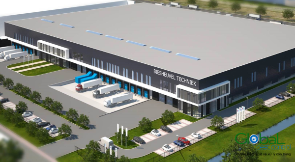 Dịch Vụ Diệt Côn Trùng Tại Nhà Xưởng - Những Điều Bạn Cần Biết