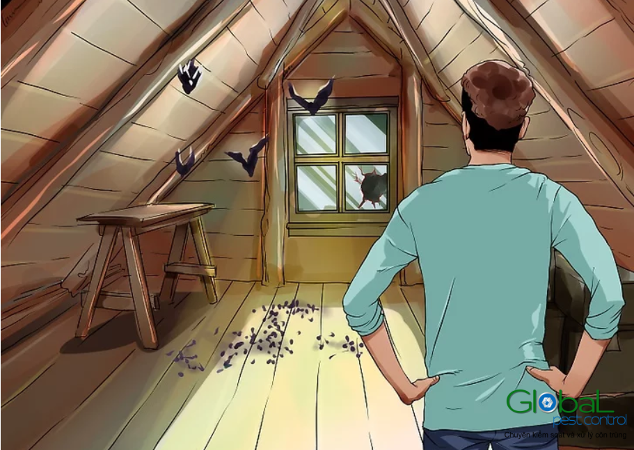 cach duoi doi va cach khu mui phan doi trong nha de dang va hieu qua