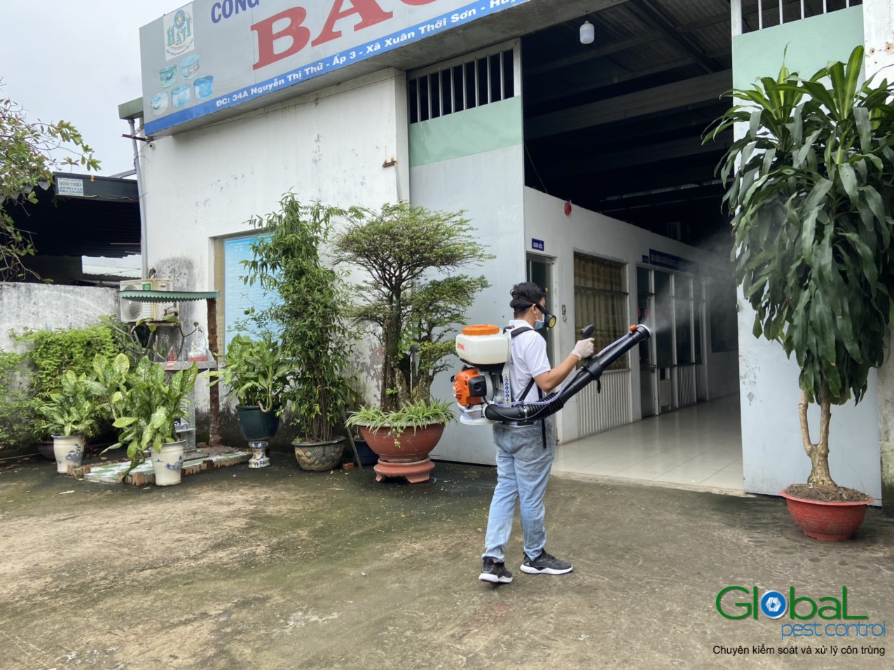 Dịch vụ diệt côn trùng Công ty Khử Trùng Toàn Cầu (5)