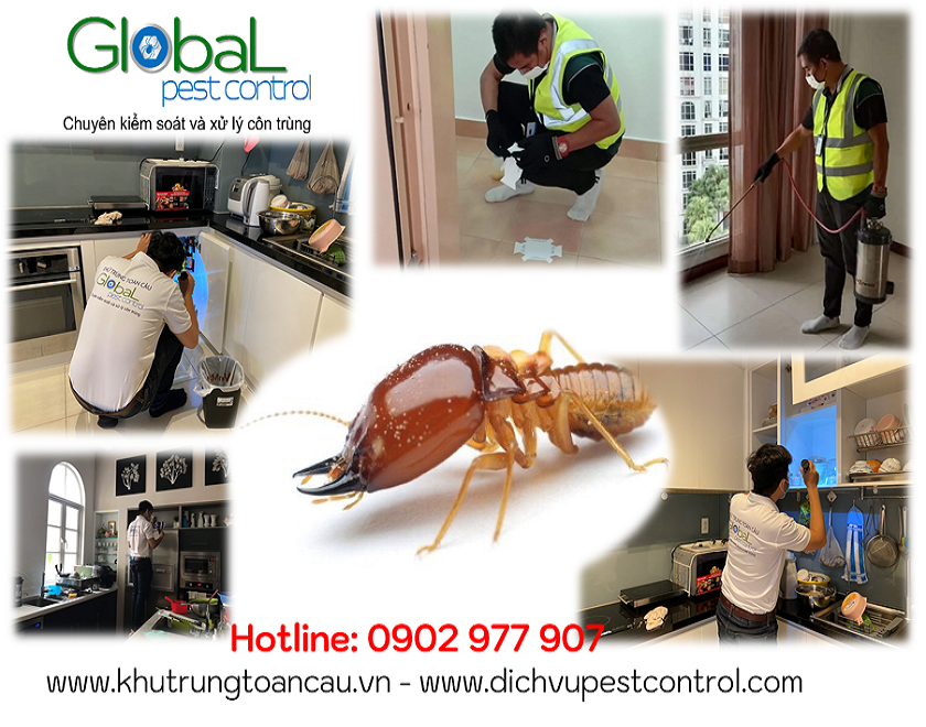 dịch vụ kiểm soát, xử lý, diệt mối, pest control