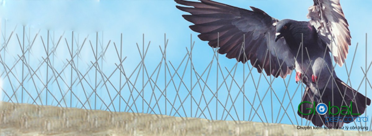 main bird netting for business header