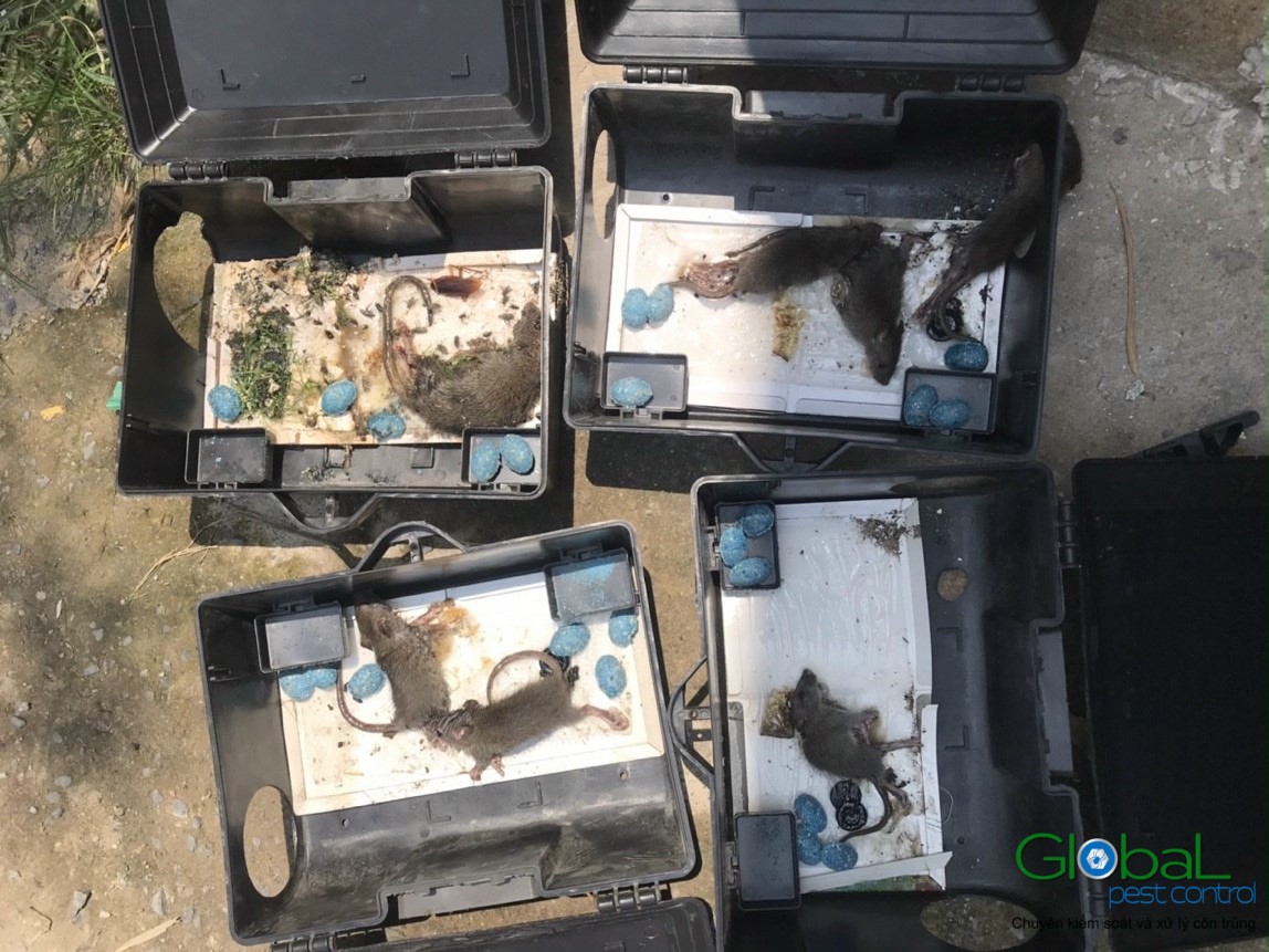 z3095618309347 13b4db34350bee1a2d7d373fb972a932