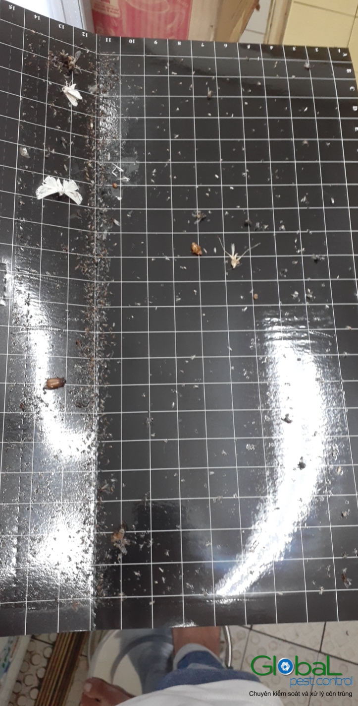 Kiểm tra keo đèn và thay thế định kỳ