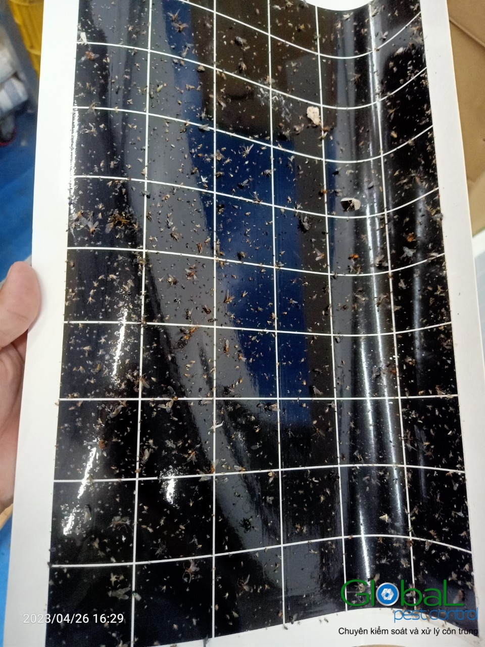 Kiểm tra keo đèn và thay thế định kỳ