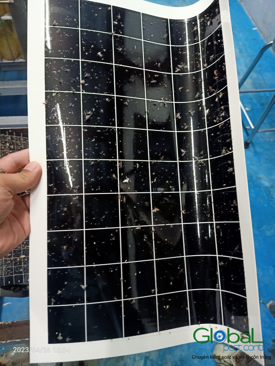 Kiểm tra keo đèn và thay thế định kỳ