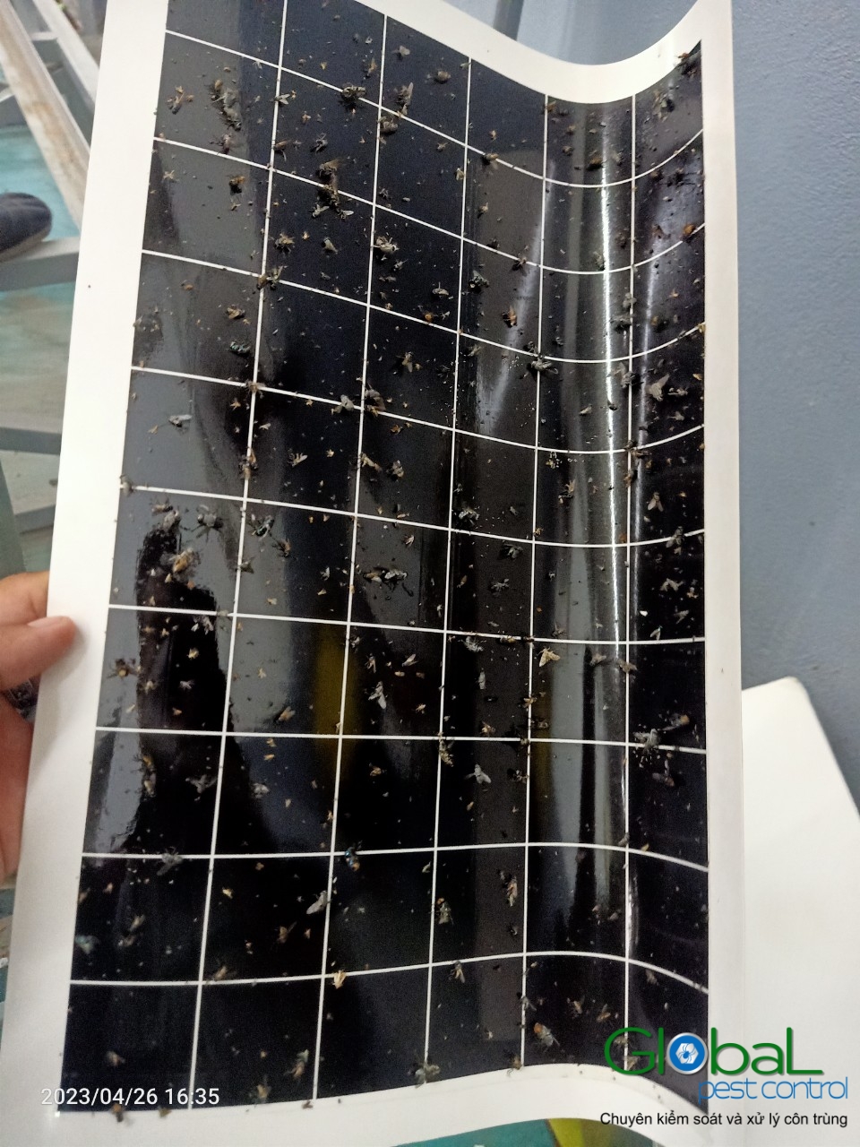 Kiểm tra keo đèn và thay thế định kỳ