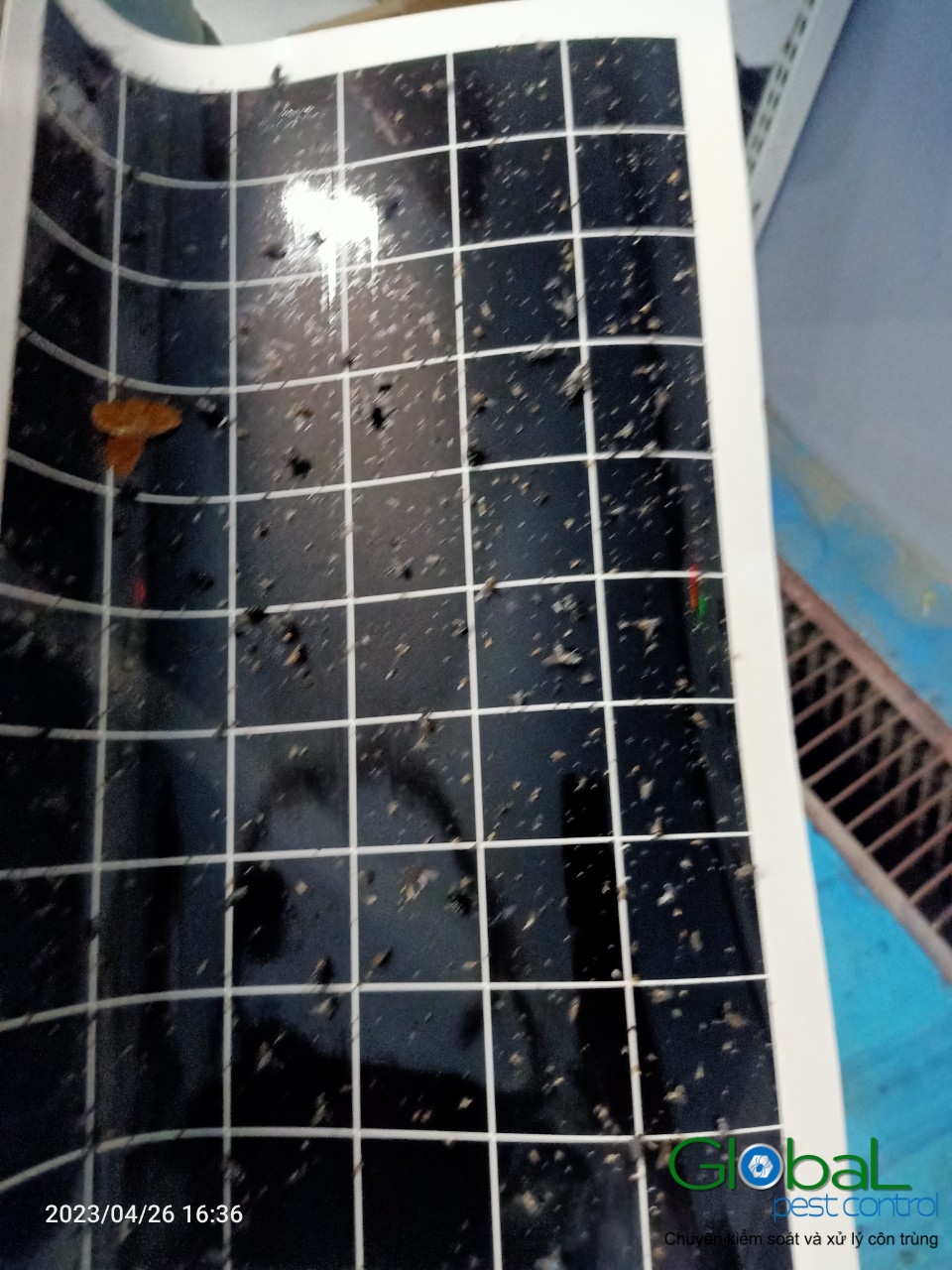 Kiểm tra keo đèn và thay thế định kỳ