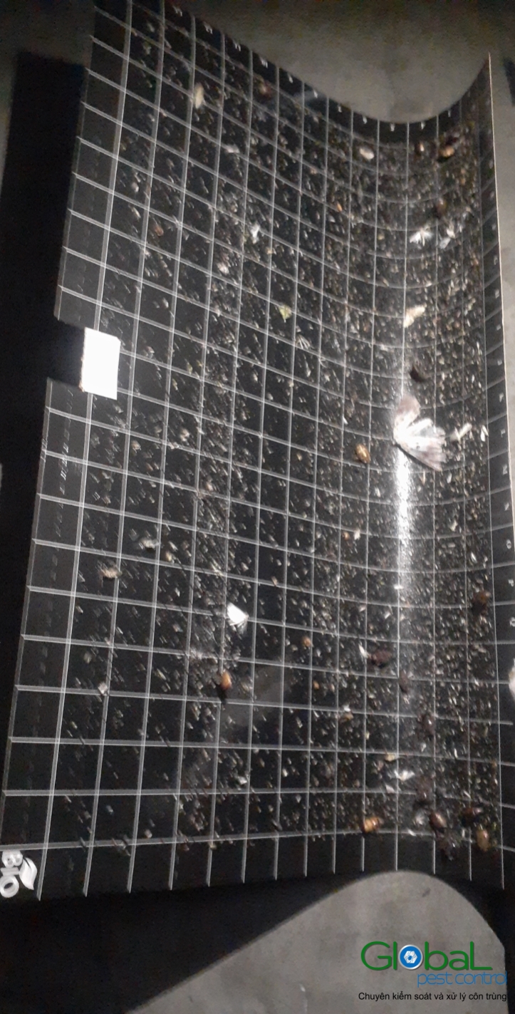 Kiểm tra keo đèn và thay thế định kỳ