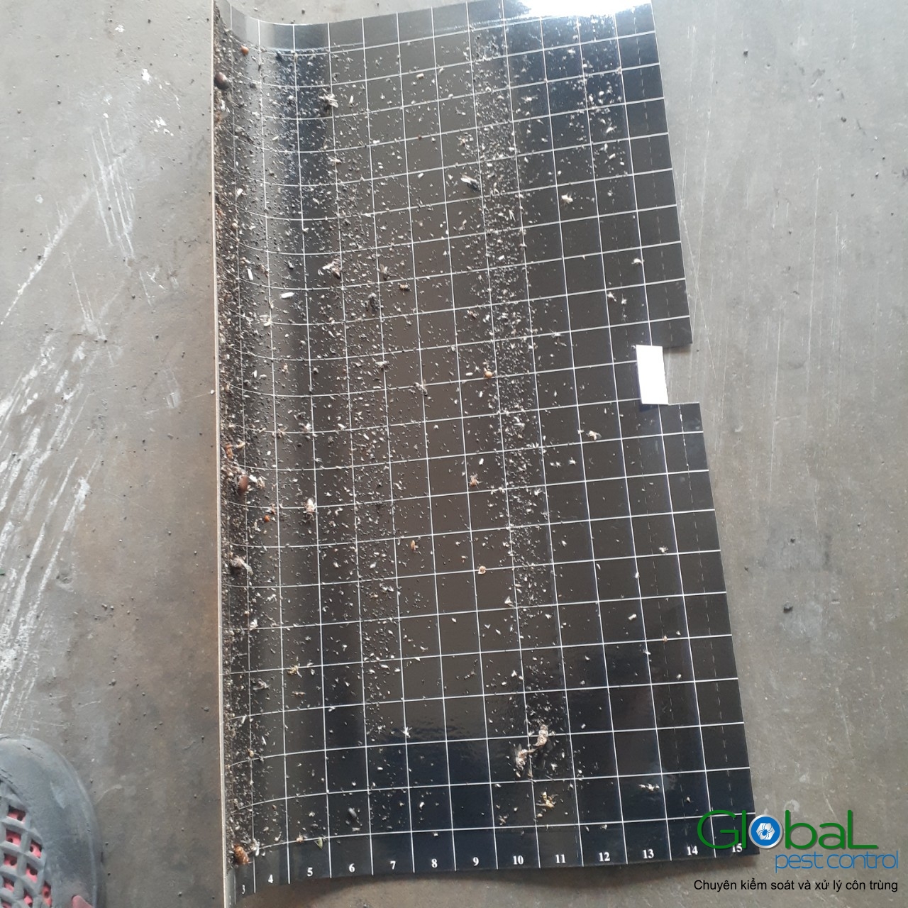 Kiểm tra keo đèn và thay thế định kỳ