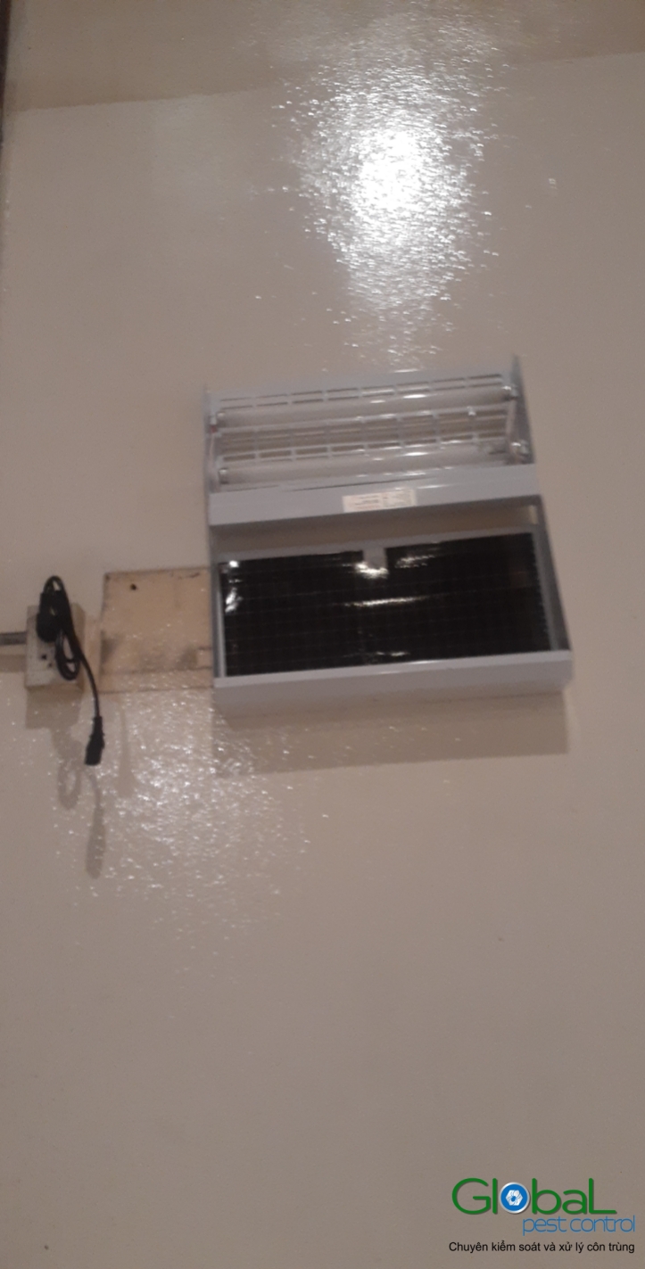 Lắp đặt đèn diệt côn trùng nhà máy sản xuất