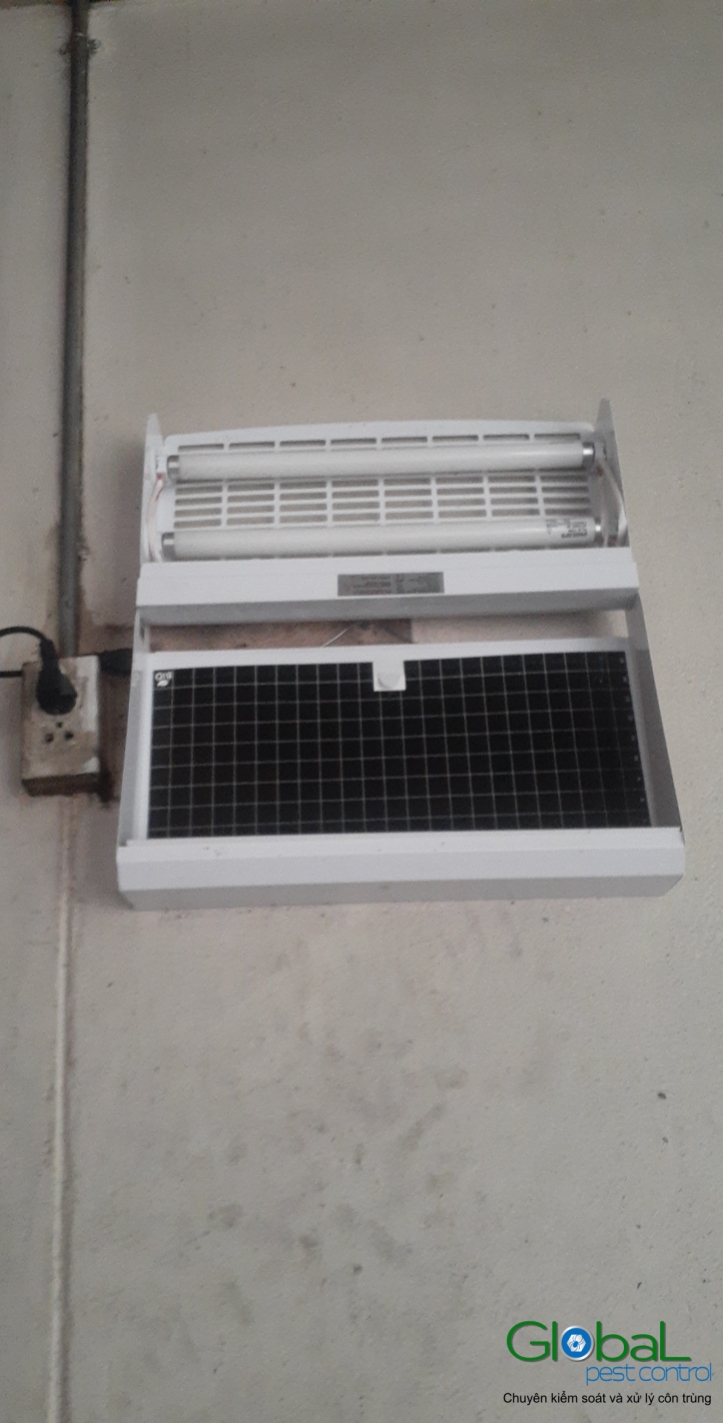 Lắp đặt đèn diệt côn trùng nhà máy sản xuất