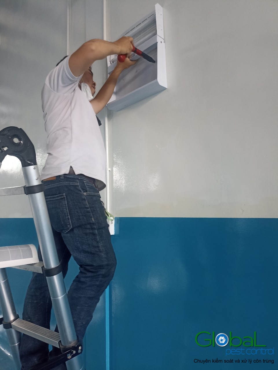 Lắp đặt đèn diệt côn trùng nhà máy thực phẩm