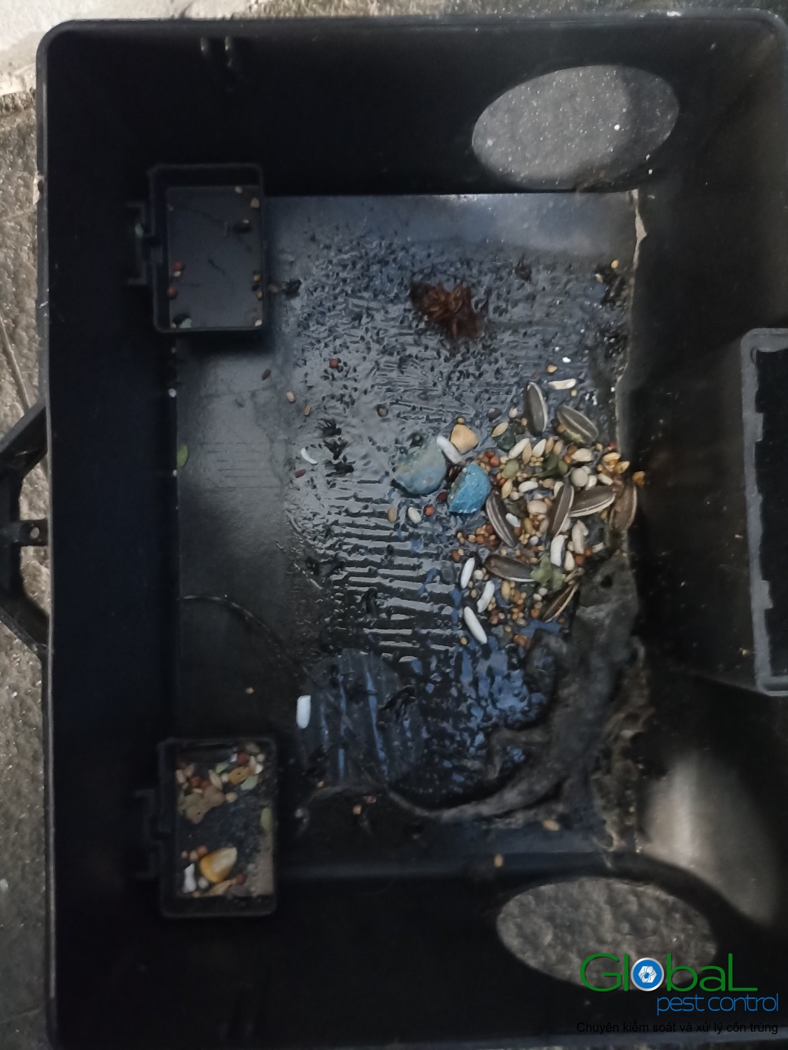 Lắp trạm kiểm soát Chuột