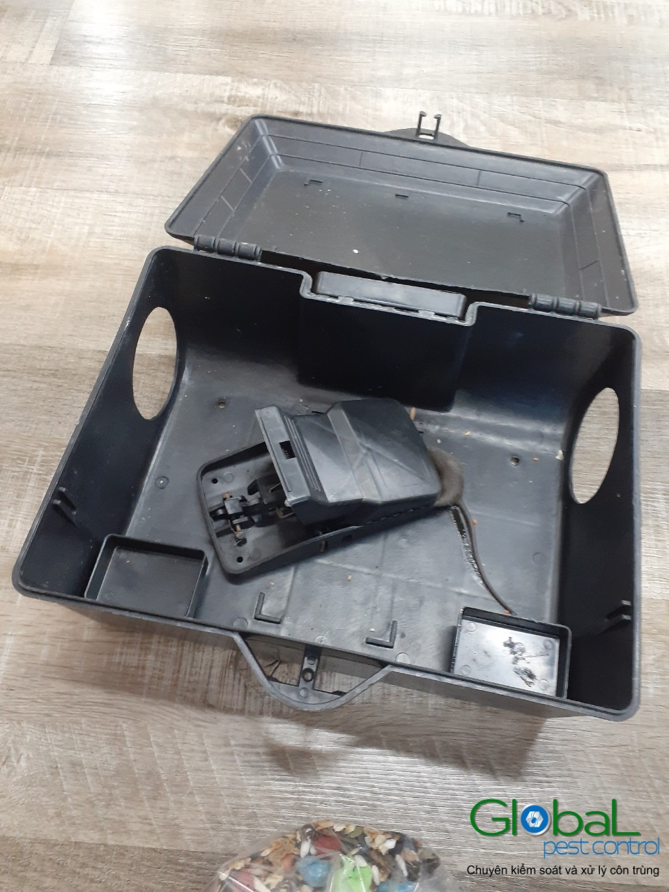 Lắp trạm kiểm soát Chuột