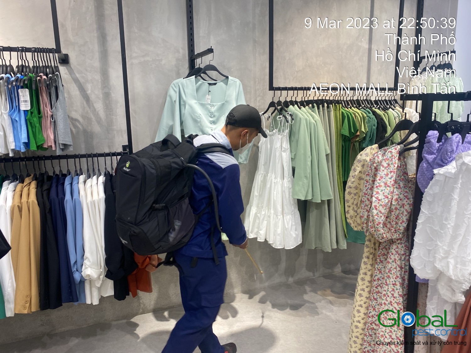 Xử lý và diệt côn trùng