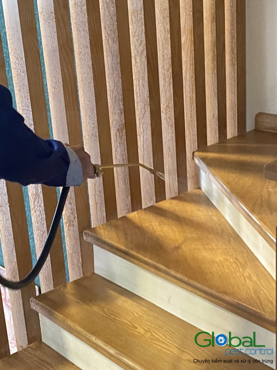 Xử lý và diệt côn trùng