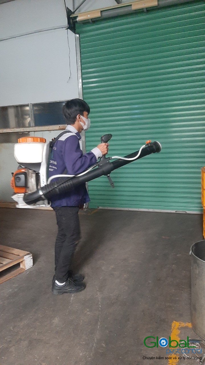 Xử lý và diệt côn trùng