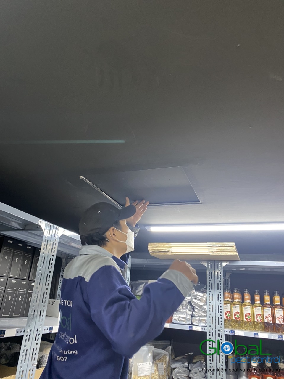 Xử lý và diệt côn trùng