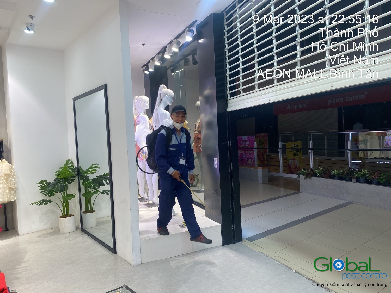 Xử lý và diệt côn trùng