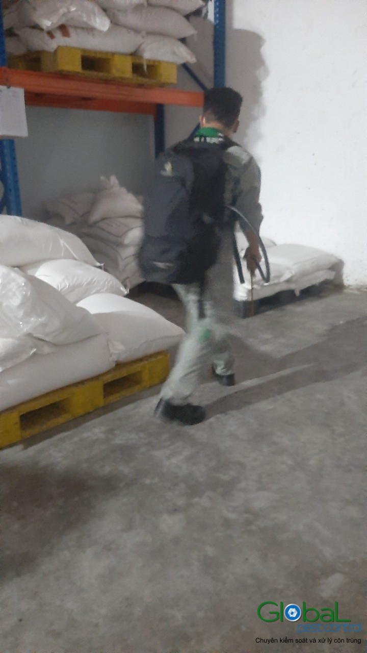 Phun diệt côn trùng định kỳ