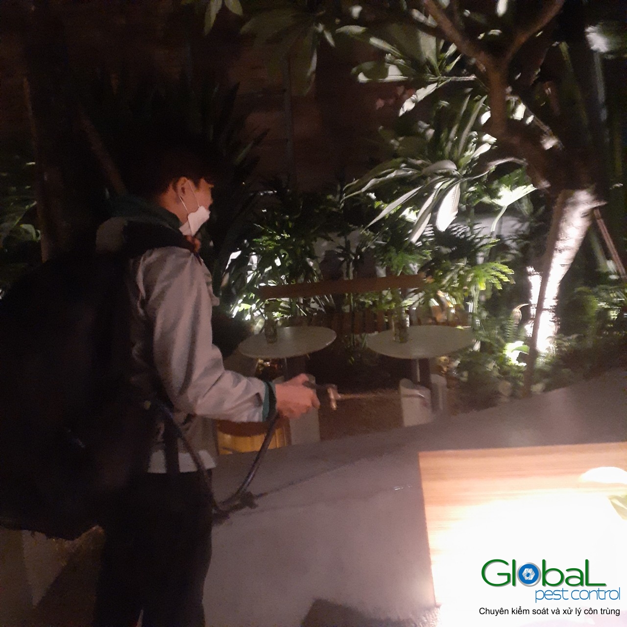 Phun diệt côn trùng định kỳ