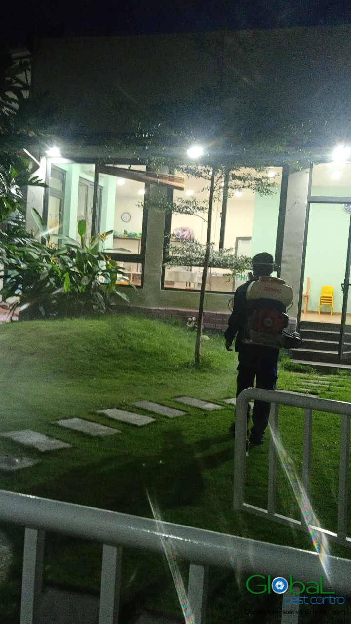 Phun diệt côn trùng định kỳ