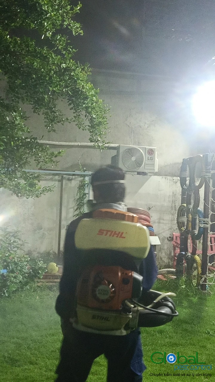 Phun diệt côn trùng định kỳ