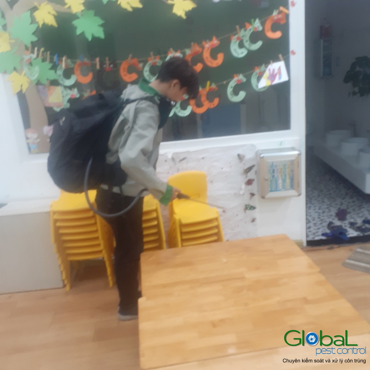 Phun diệt côn trùng định kỳ