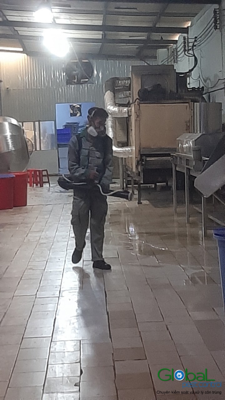 Phun diệt côn trùng định kỳ