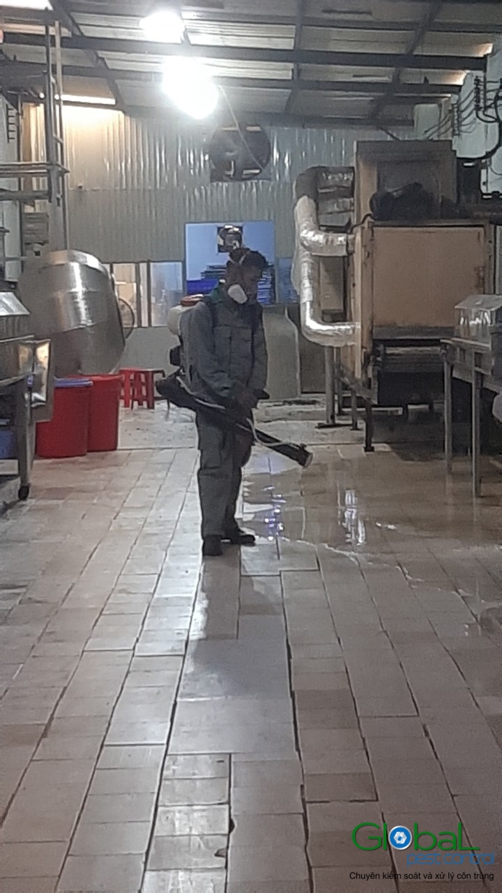 Phun diệt côn trùng định kỳ